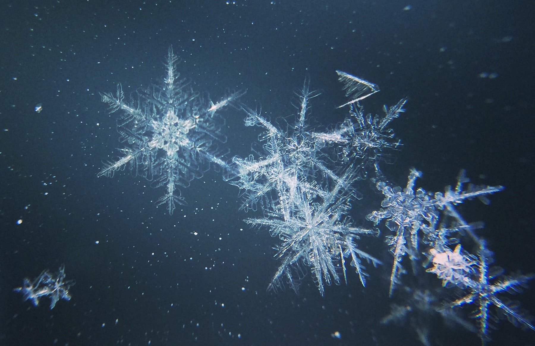 Fragile Snowflakes